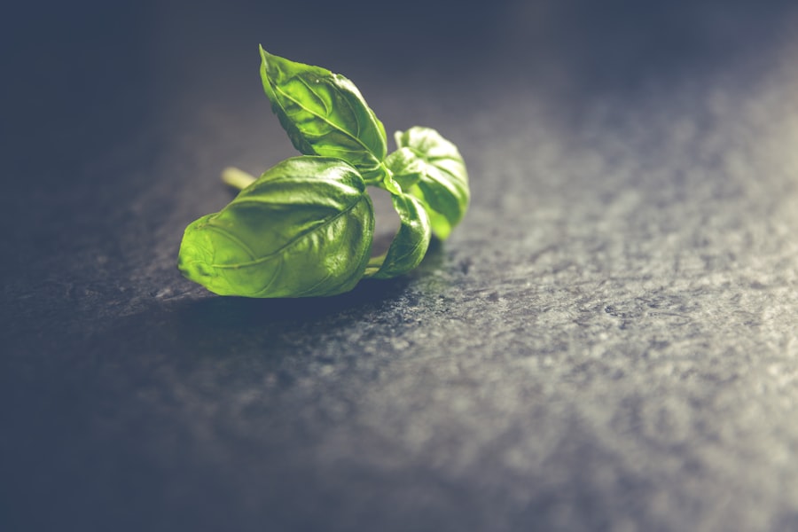 Photo Sustainable Growth